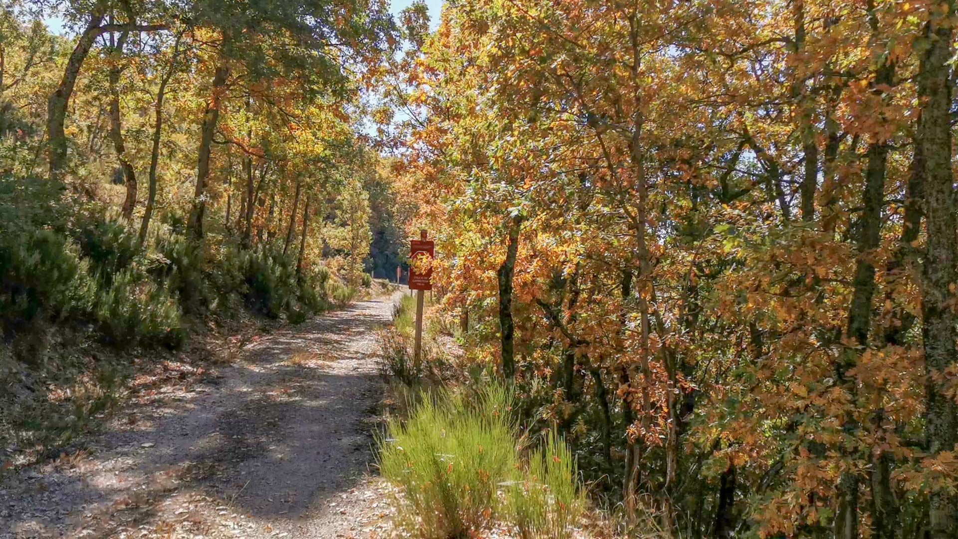 tramo_5_Via_verde_sierra_de_la_demanda
