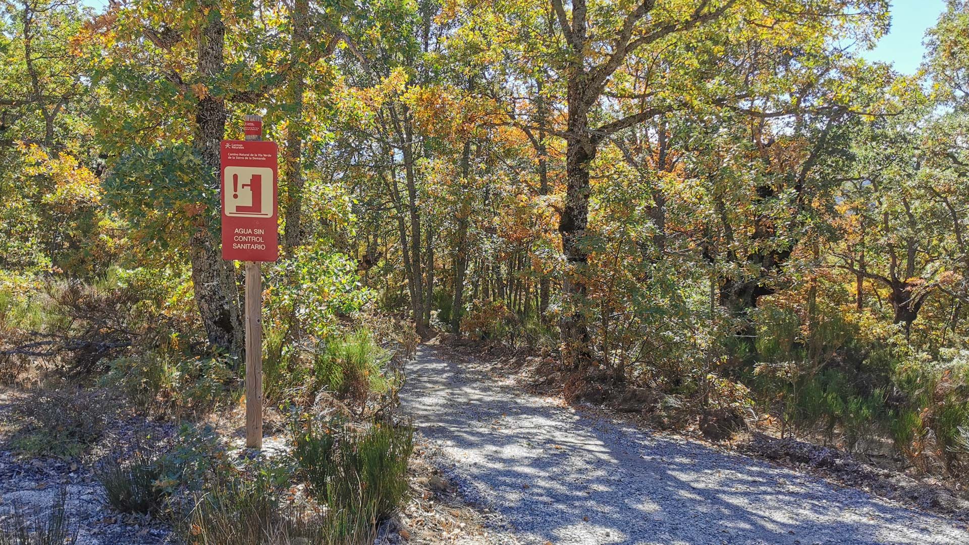 bosque_tramo_5_Via_verde_sierra_de_la_demanda
