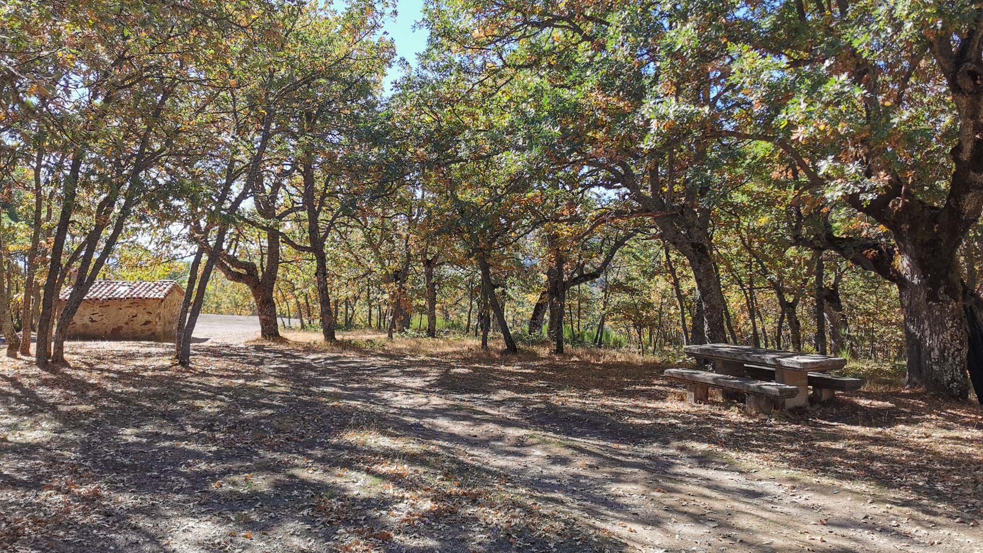 bosque_tramo_5_Via_verde_sierra_de_la_demanda