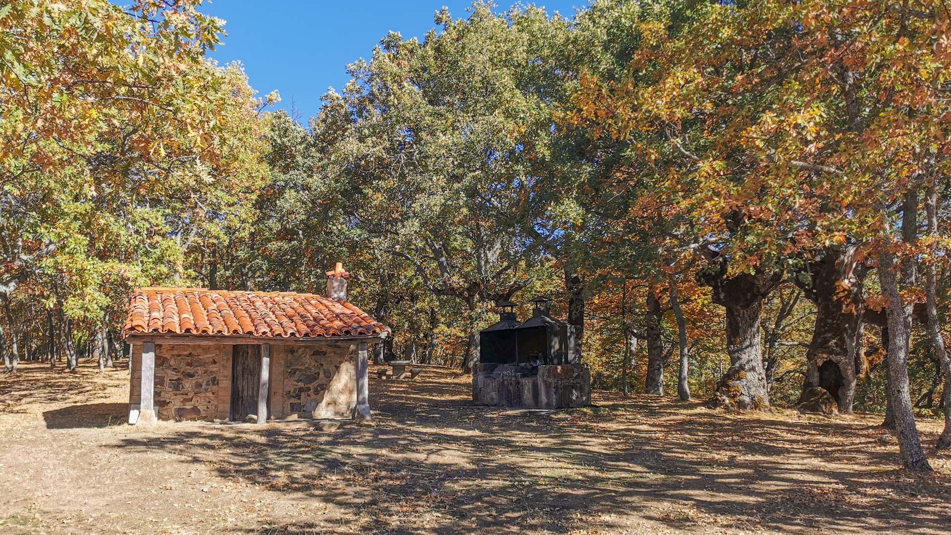 bosque_tramo_5_Via_verde_sierra_de_la_demanda