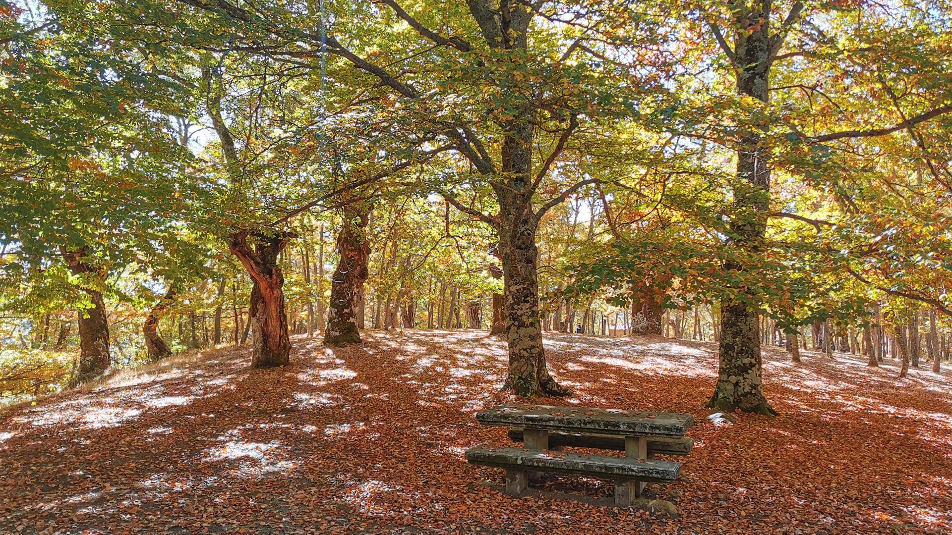 zona_de_descanso_tramo_5_Via_verde_sierra_de_la_demanda