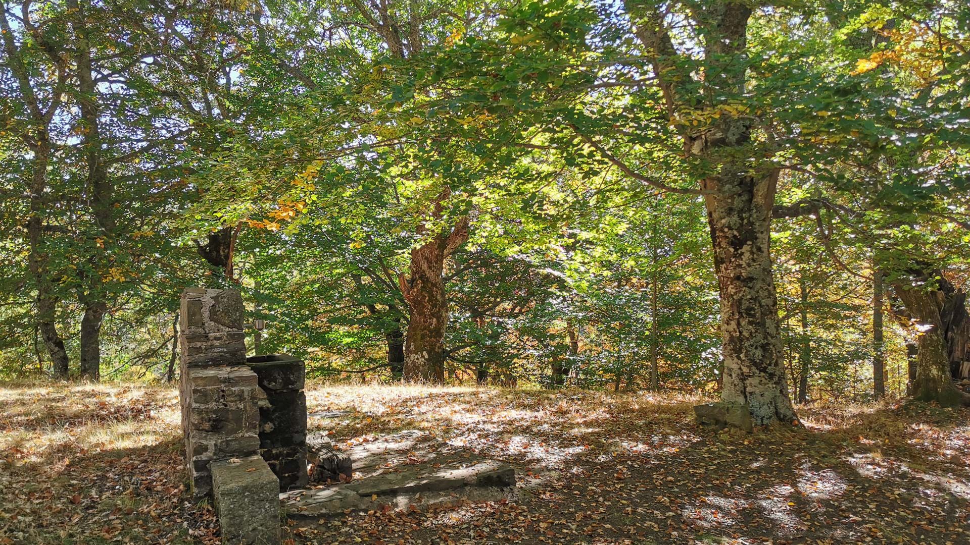 área_de_descanso_tramo_5_Via_verde_sierra_de_la_demanda