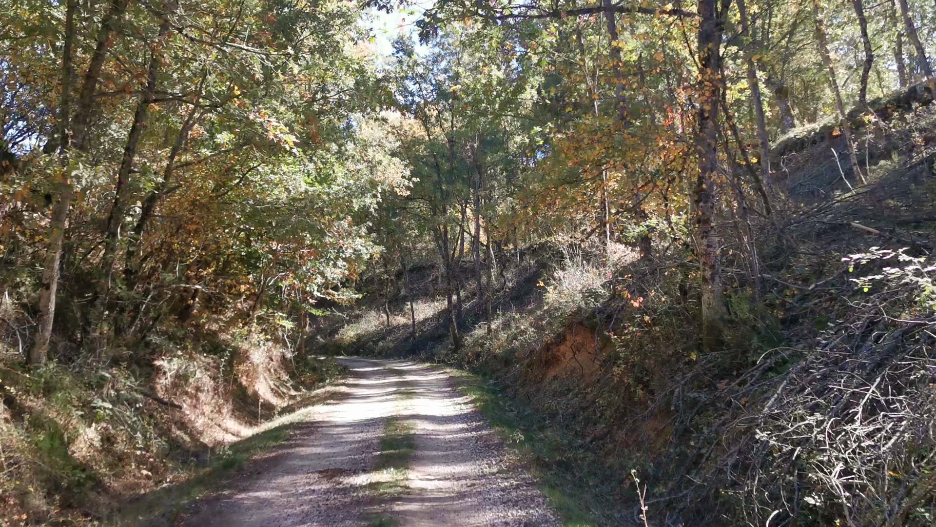 Camino_tramo_Via_verde_sierra_de_la_demanda