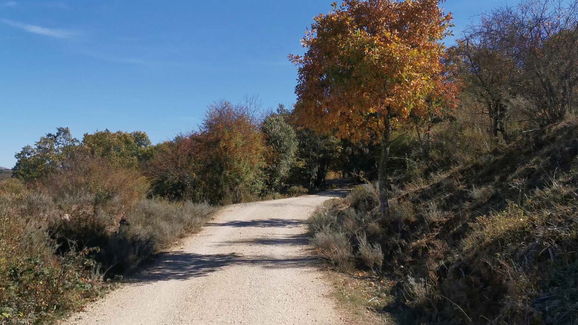 Camino_tramo_Via_verde_sierra_de_la_demanda
