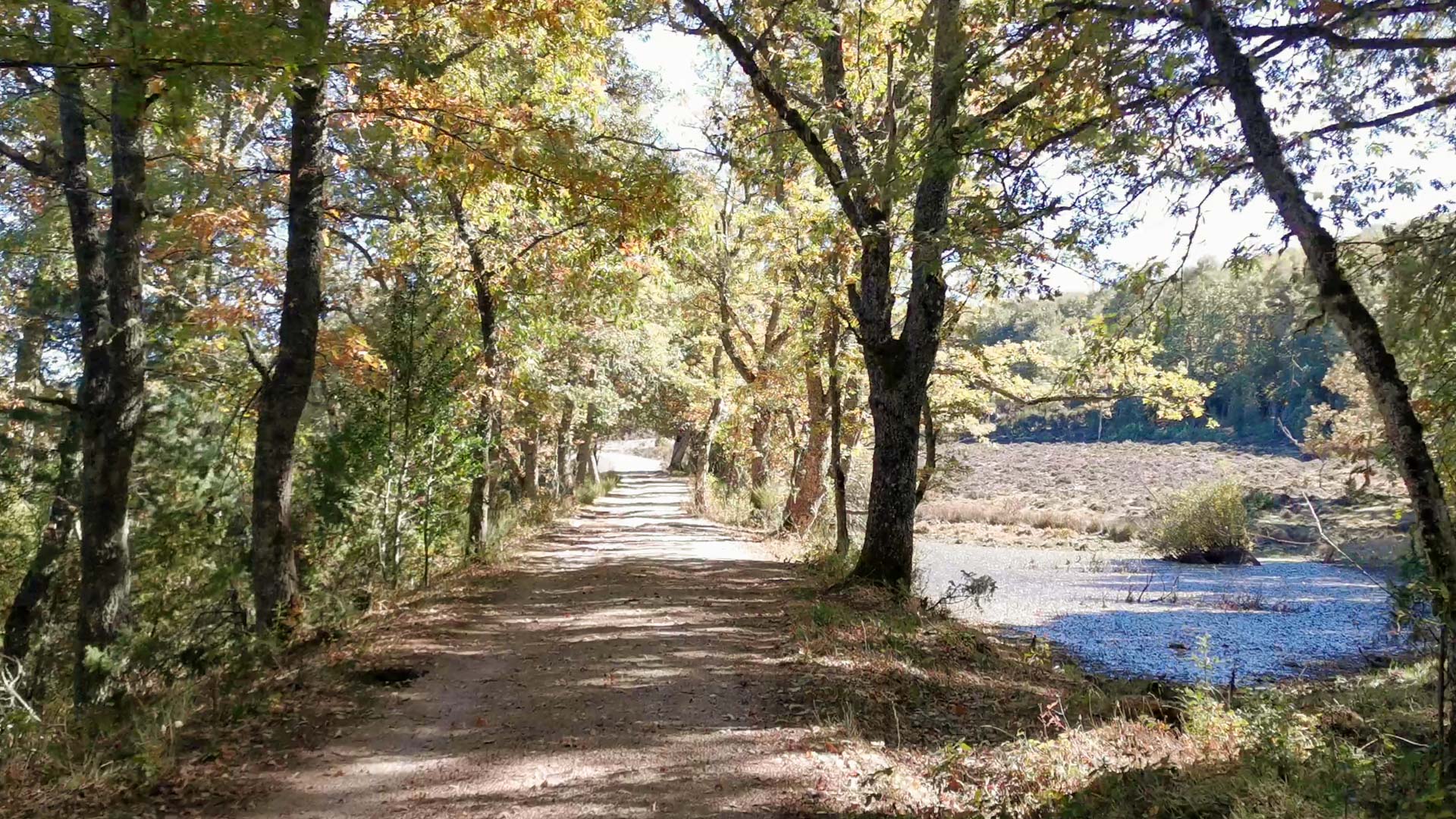 camino_tramo_7_Vía_Verde_Sierra_de_la_Demanda