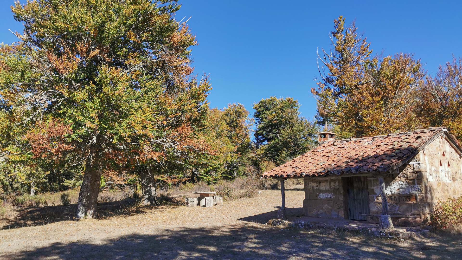 Detalle_de_arboleda_y_zona_de_descanso_tramo_Vía_verde_Sierra_de_la_Demanda