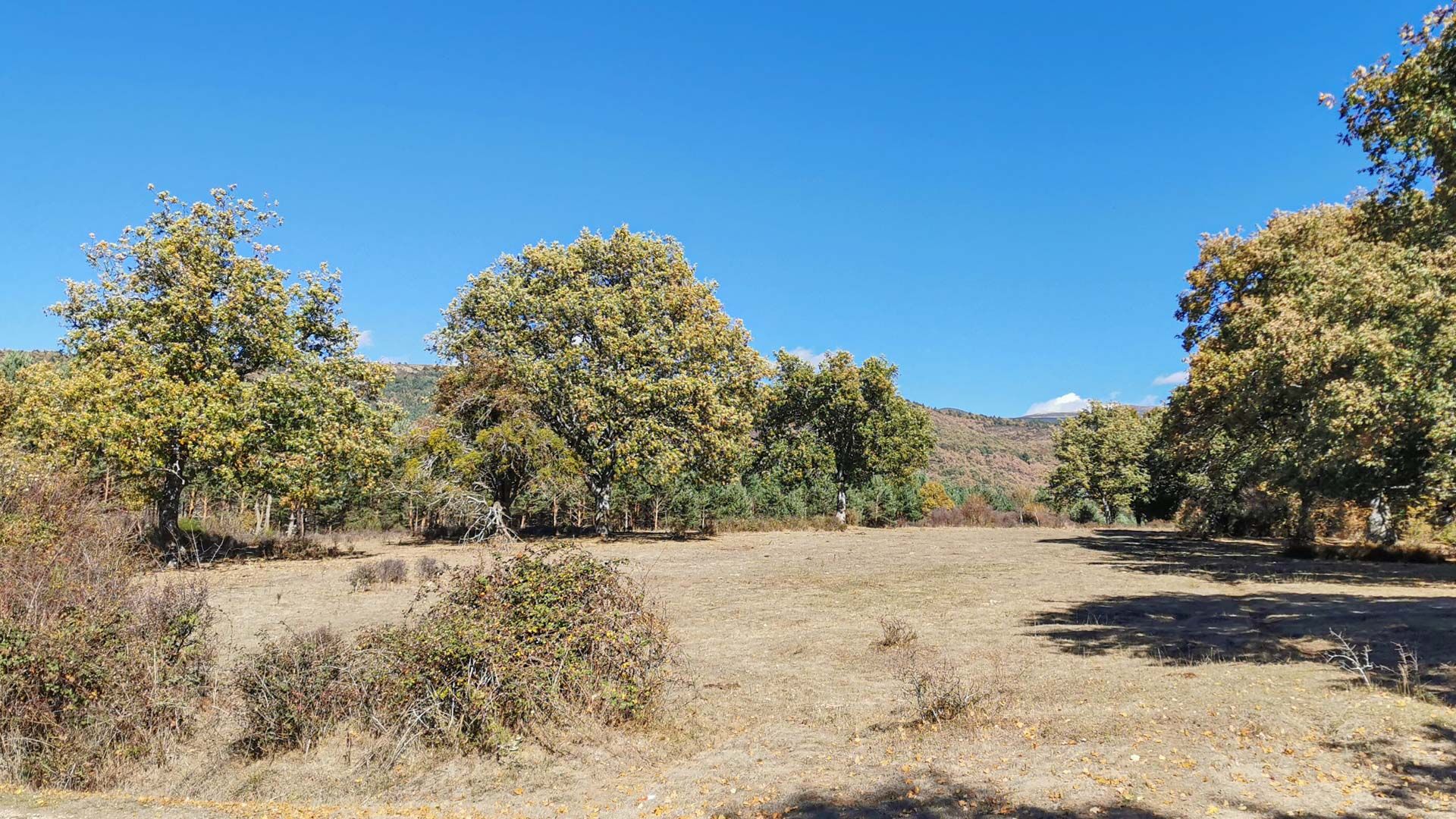 Detalle_de_tramo_Vía_verde_Sierra_de_la_Demanda