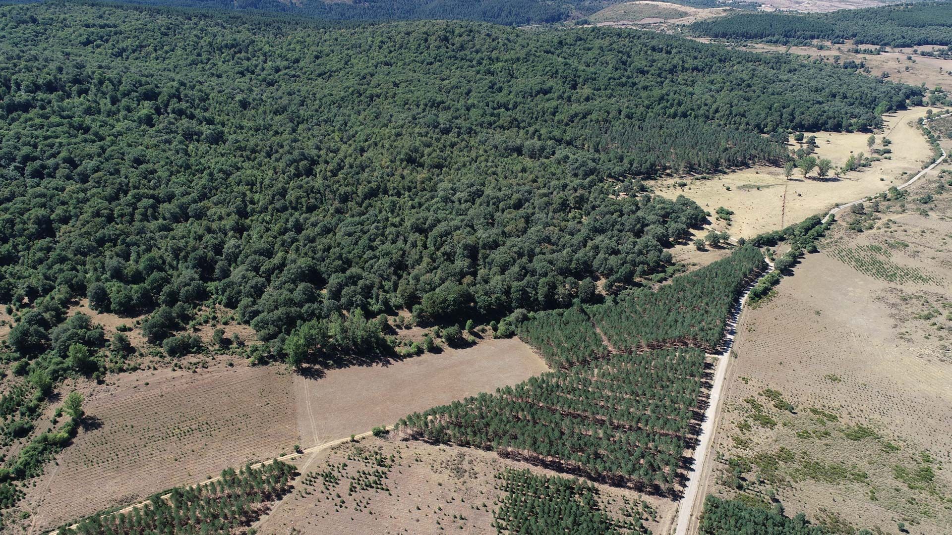 Vista_aérea_tramo_7_de_la_vía_Verde_Sierra_de_la_Demanda