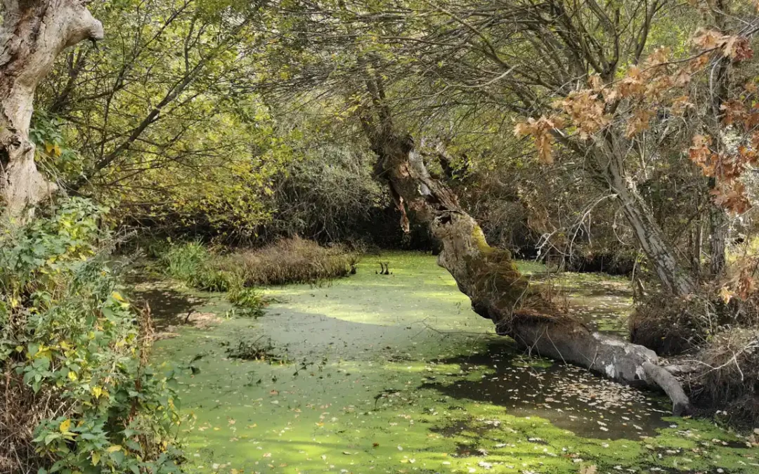 La Vía Verde de la Sierra de la Demanda da el salto al mundo digital con la creación de una página web y un tour virtual 360 º